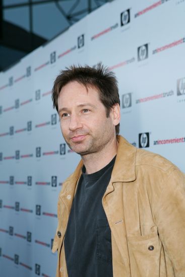 David Duchovny Editorial Stock Photo - Stock Image | Shutterstock