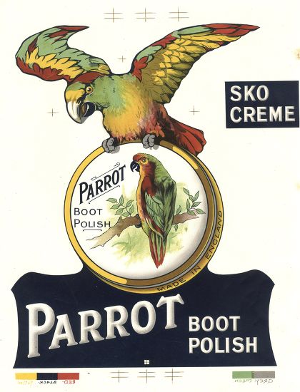 Proof Advertisement Sko Creme Parrot Boot Photo - Stock Image Shutterstock