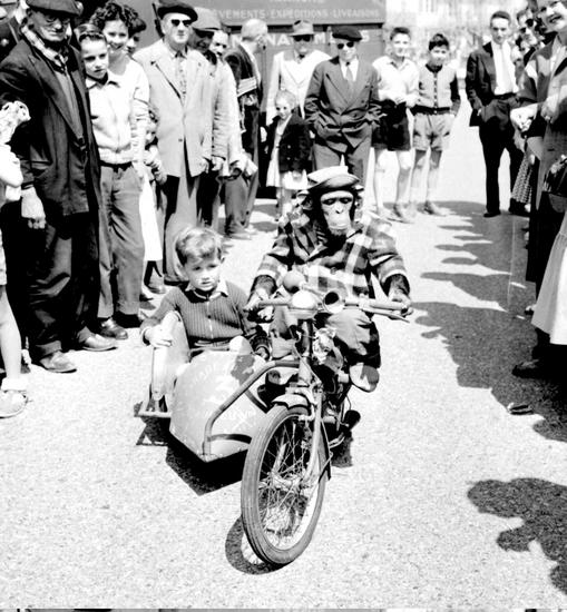 Chimpanzee Riding Motorcycle Small Child Sidecar Editorial Stock Photo ...