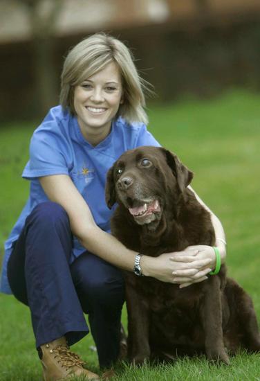 Rusty Labrador Kirsty Thomson Eastgate Vetinary Editorial Stock Photo ...