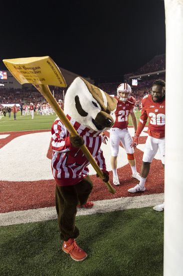 Bucky Badger Chops Down Goal Post Editorial Stock Photo - Stock Image ...