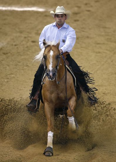 German Rider Alexander Ripper On Horse Editorial Stock Photo - Stock ...