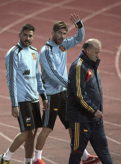 Spanish National Soccer Team Head Coach Editorial Stock Photo - Stock