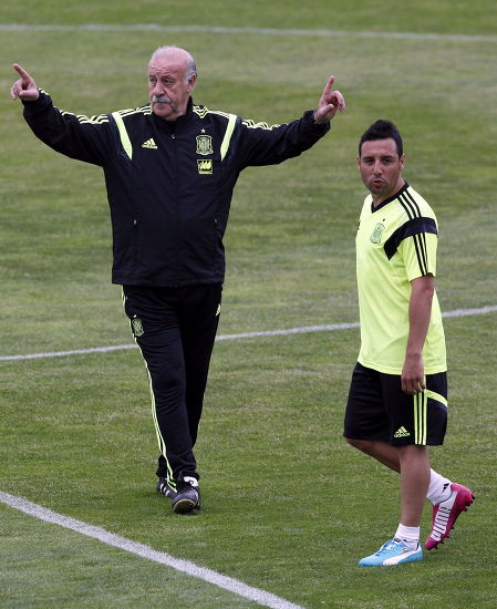 Spanish National Soccer Team Head Coach Editorial Stock Photo - Stock