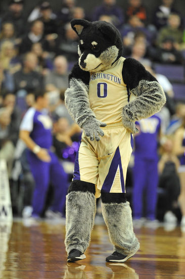 Uw Mascot Harry Husky Performs During Editorial Stock Photo - Stock ...