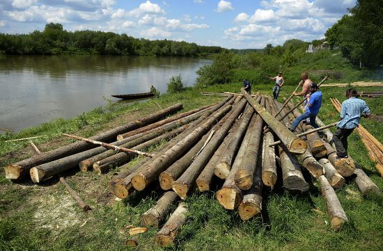 Polish Lightermen Build Raft Out Wooden Editorial Stock Photo - Stock ...