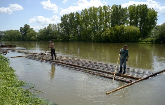 Polish Lightermen Build Raft Out Wooden Editorial Stock Photo - Stock ...