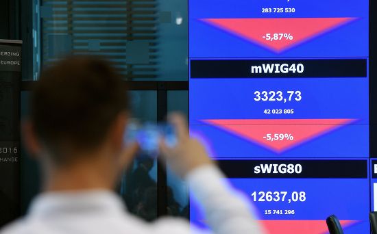 Man Watches Board Showing Evolution Chart Editorial Stock Photo - Stock ...