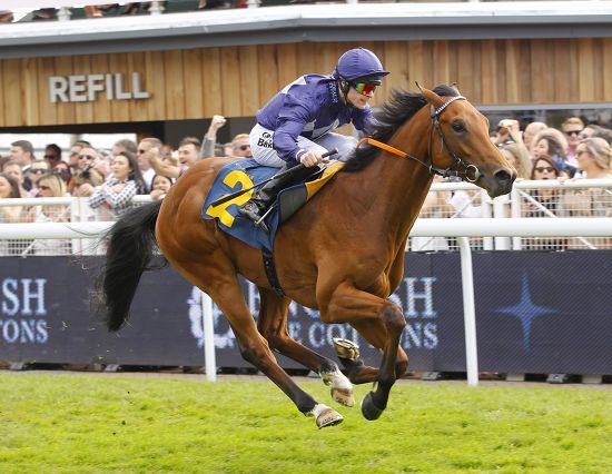 Dragon Tails Robert Kingscote Win English Editorial Stock Photo Stock