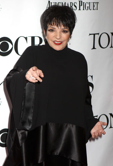 Liza Minnelli main image 1