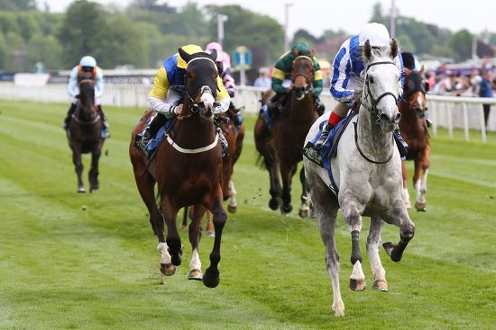 Thundering Blue 7 Ridden By Jockey Editorial Stock Photo - Stock Image ...