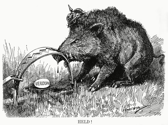 German Boar Held Verdun Cartoon By Editorial Stock Photo Stock Image Shutterstock German Boar Held Verdun Cartoon By Editorial Stock Photo Stock Image Shutterstock