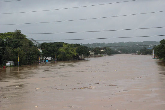 Marikina River Water Level Rises 168 Editorial Stock Photo - Stock ...