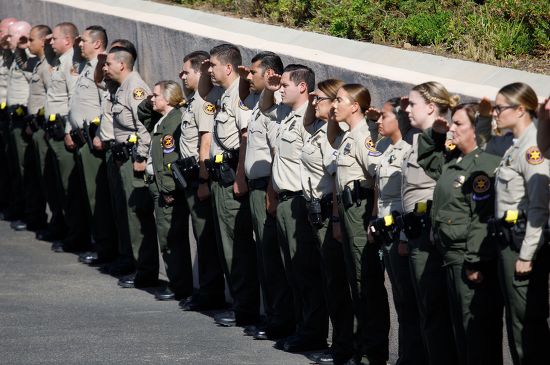 Law Enforcement Officers Salute Hearse Carrying Editorial Stock Photo ...