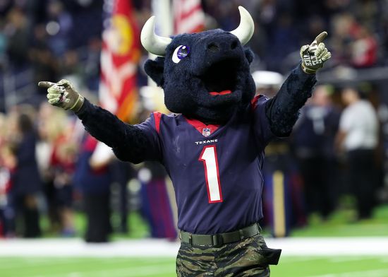 Toro Houston Texans Mascot Entertains Fans Editorial Stock Photo ...