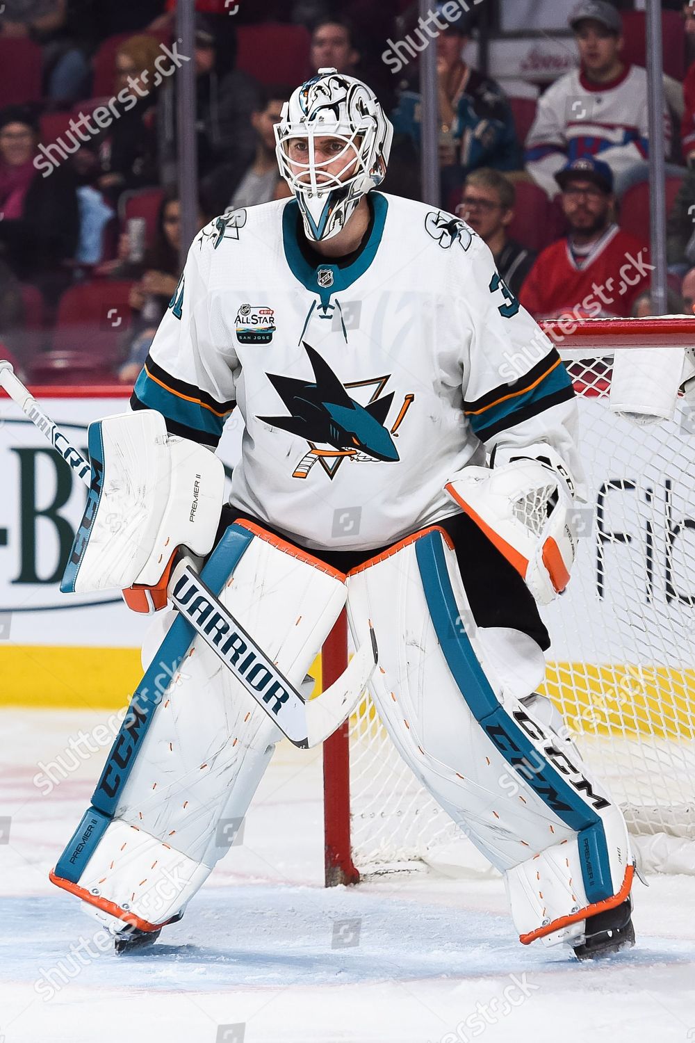 san jose goalie