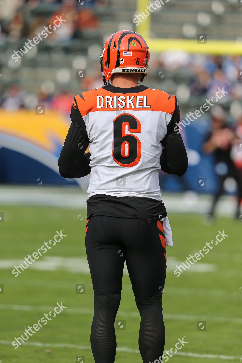 CIncinnati Bengals: Jeff Driskel open to playing other positions