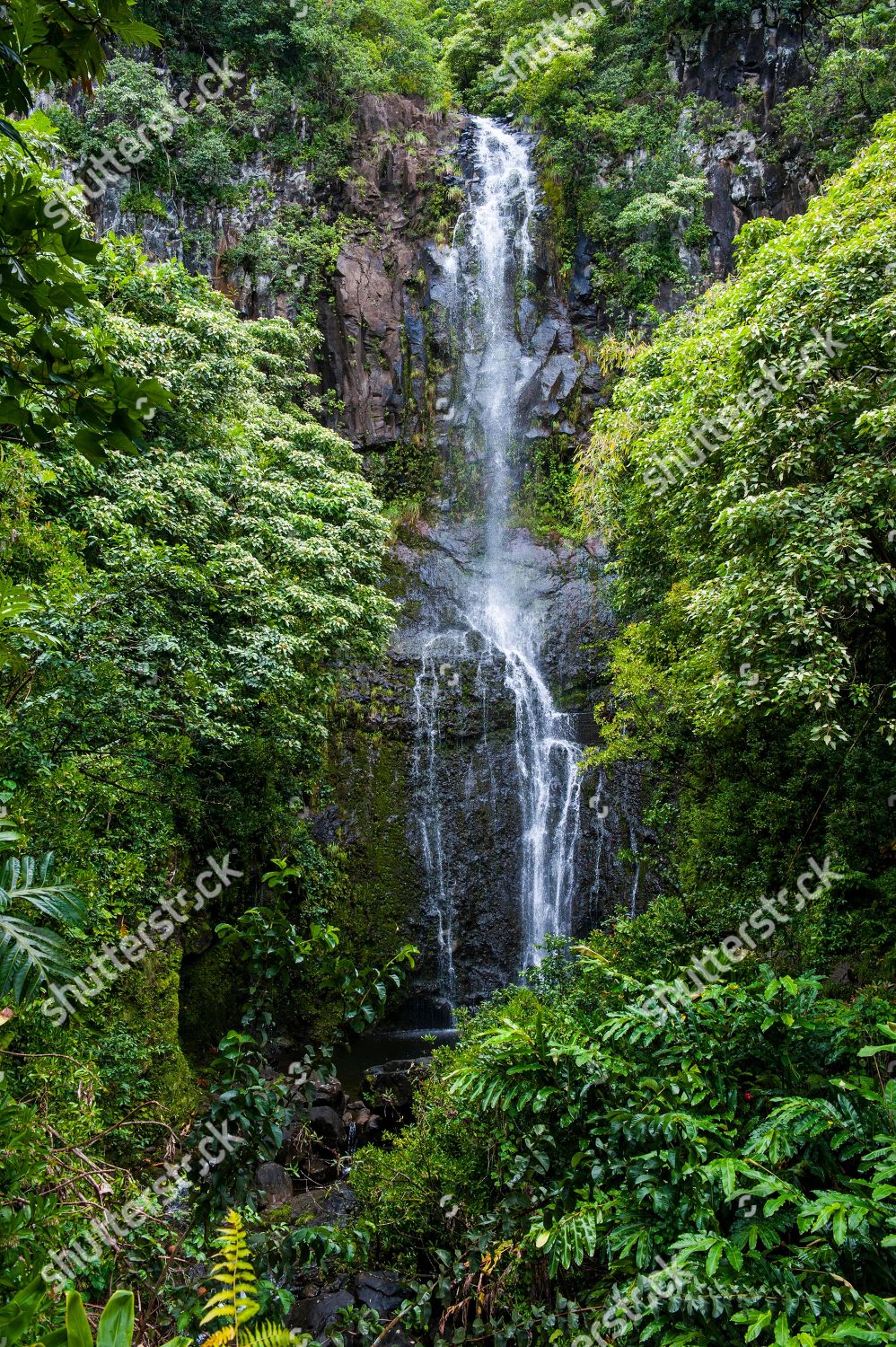 Makahiku Falls Green Vegetation Haleakala National Editorial Stock 