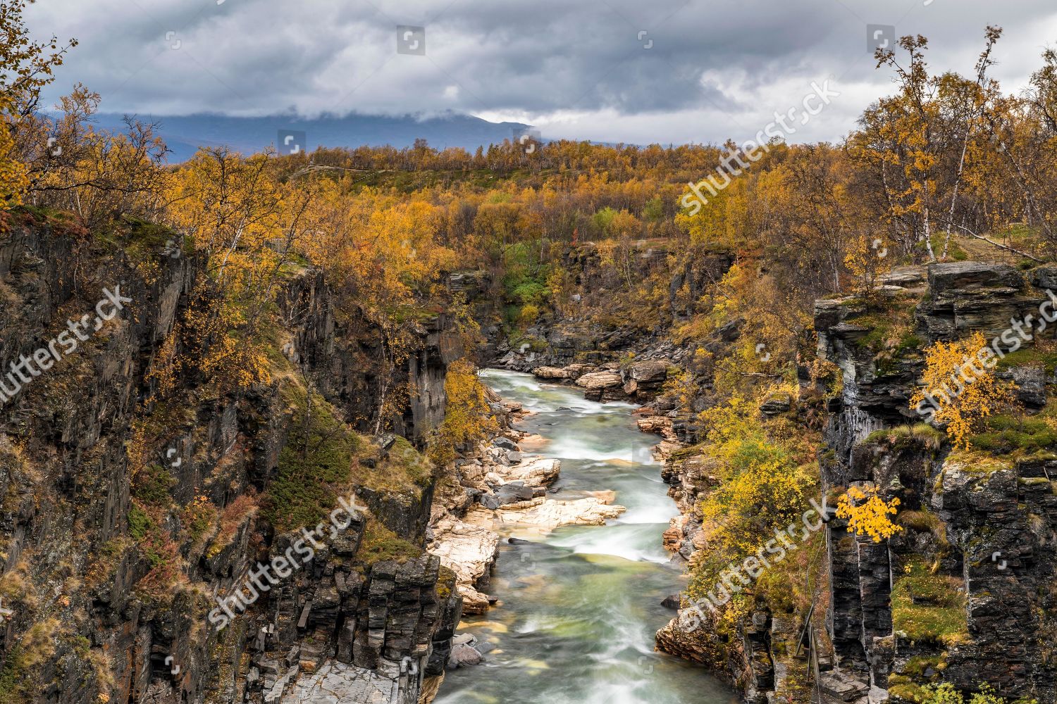 Abisko Canyon Autumn River Abiskojakka Abiskojakka Editorial Stock ...