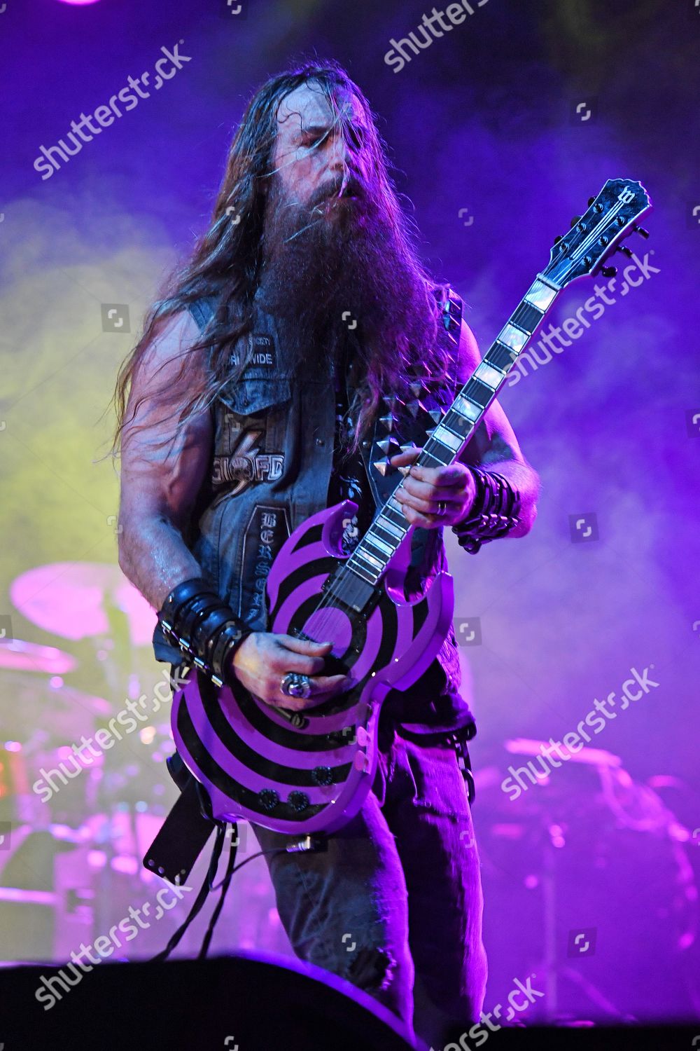 zakk wylde purple guitar