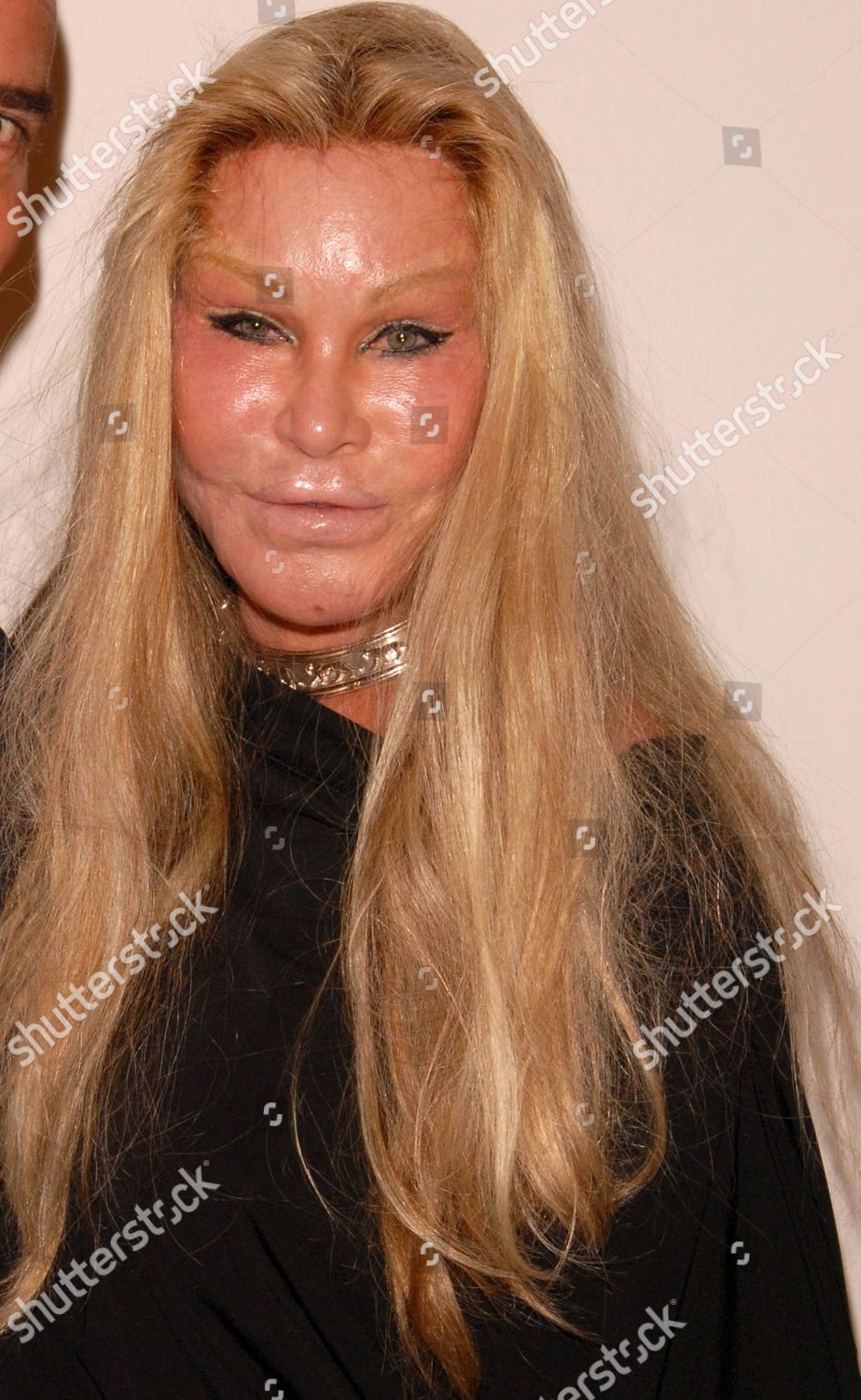 Jocelyn Wildenstein Editorial Stock Photo - Stock Image | Shutterstock