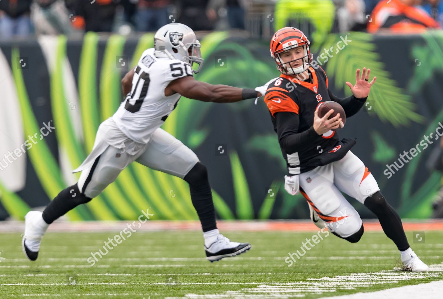 Th Oakland Raiders Linebacker Nicholas Morrow 50 Editorial Stock Photo - Stock Image | Shutterstock