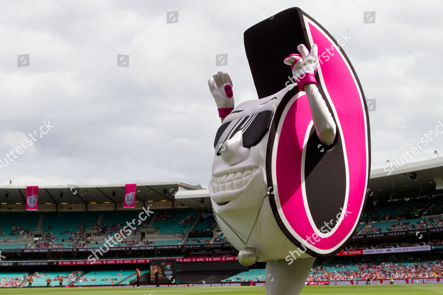 Buy Sydney Sixers Big Bash League KFC Cricket Can Cooler Stubby