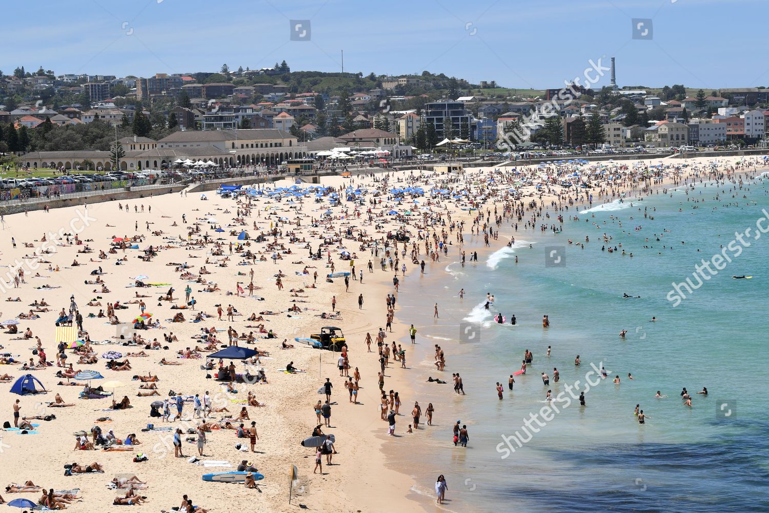 Beachgoers Swim Bondi Beach Sydney Australia Editorial Stock Photo ...