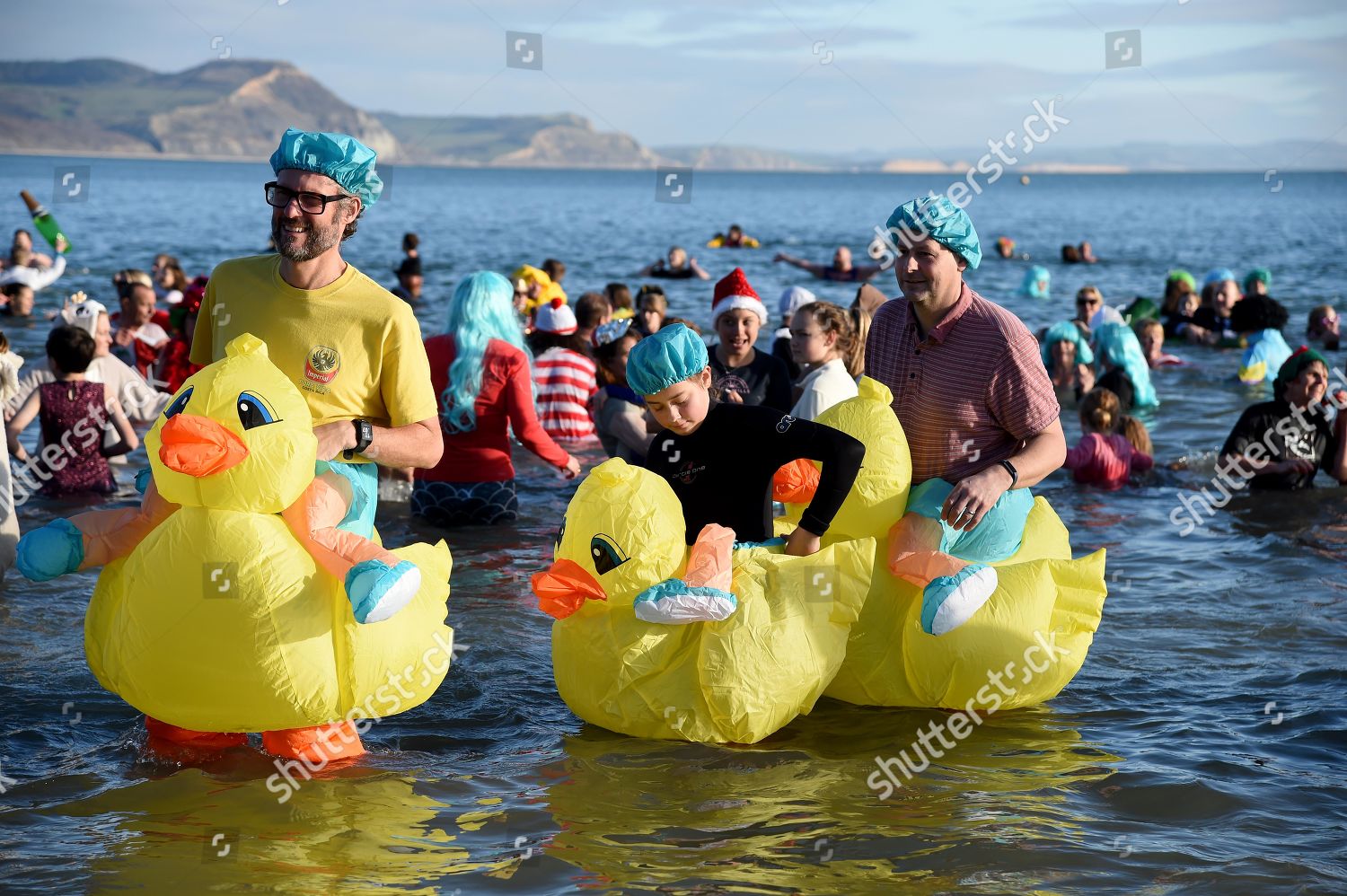 Ducks Enjoy Swim Lyme Lunge New Editorial Stock Photo Stock Image