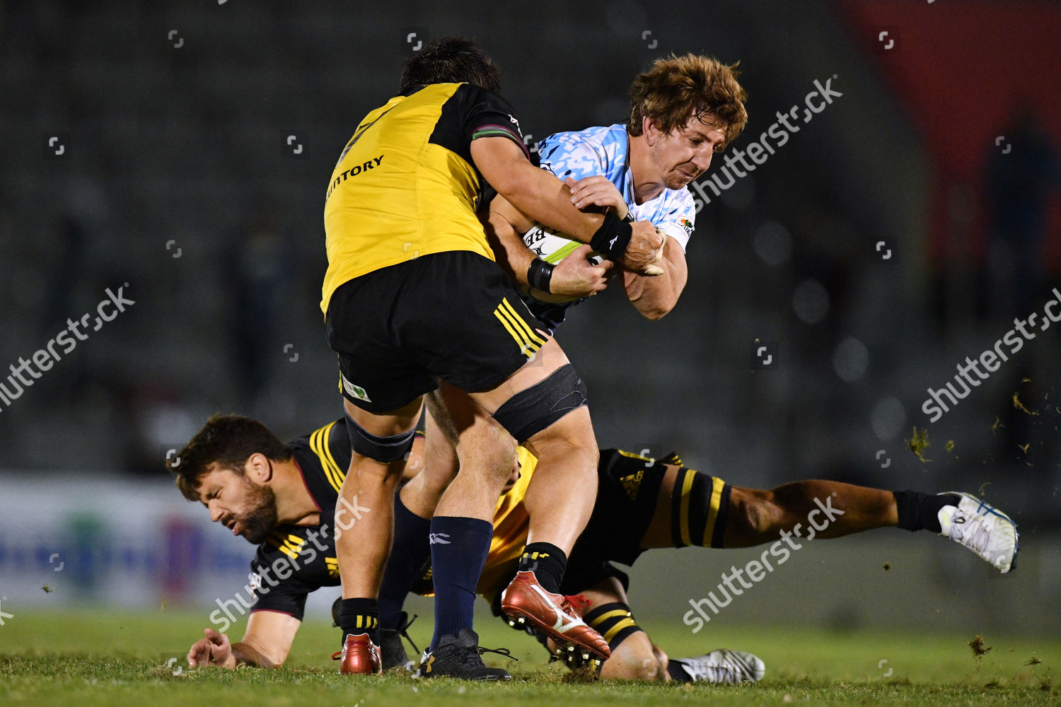 Kwagga Smith Editorial Stock Photo Stock Image Shutterstock