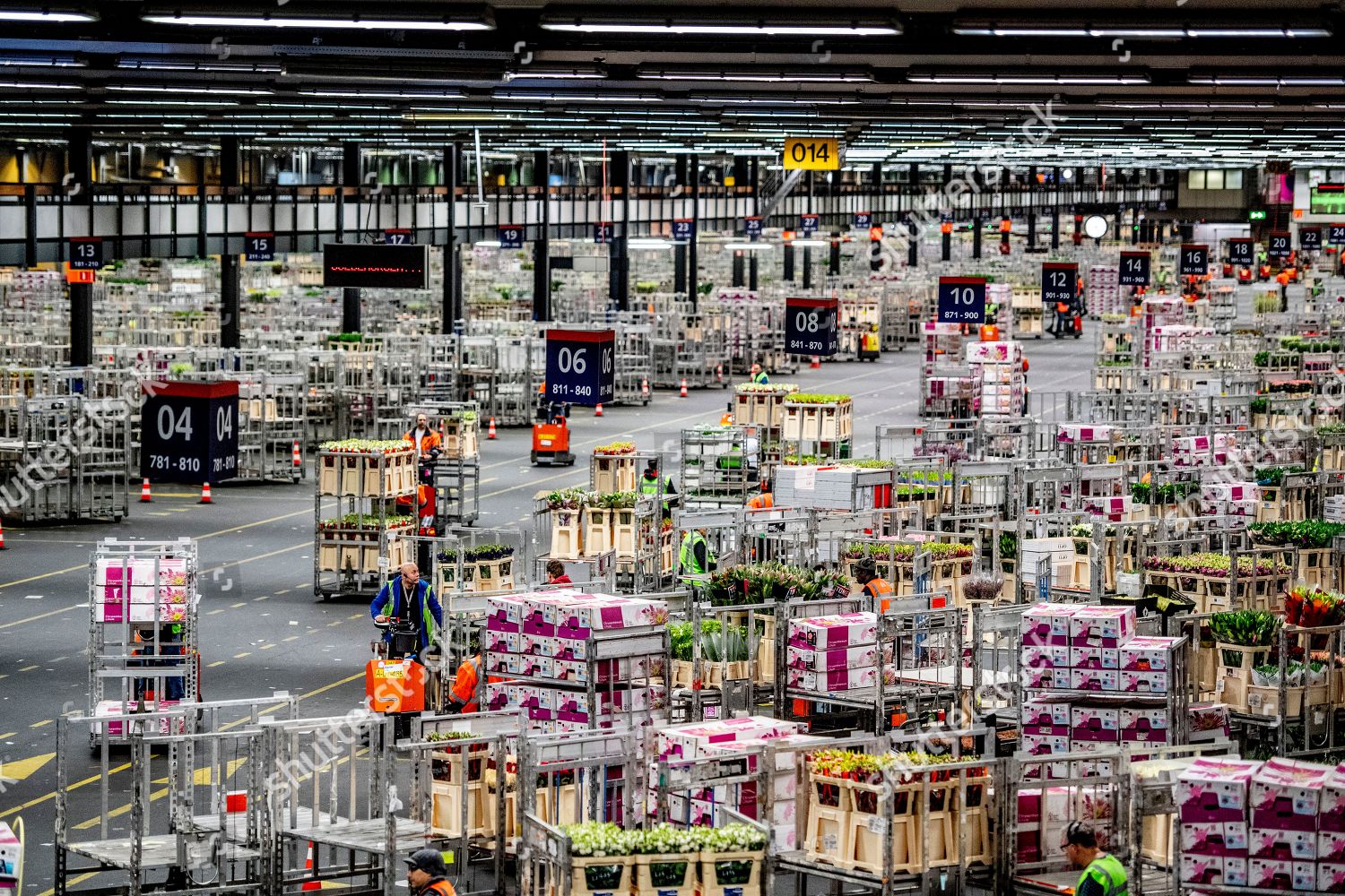 Royal Floraholland flower auction Editorial Stock Photo - Stock Image |  Shutterstock