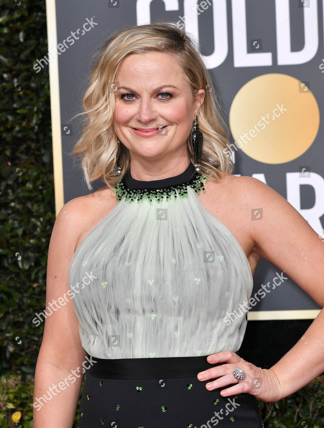 Amy Poehler Editorial Stock Photo - Stock Image | Shutterstock