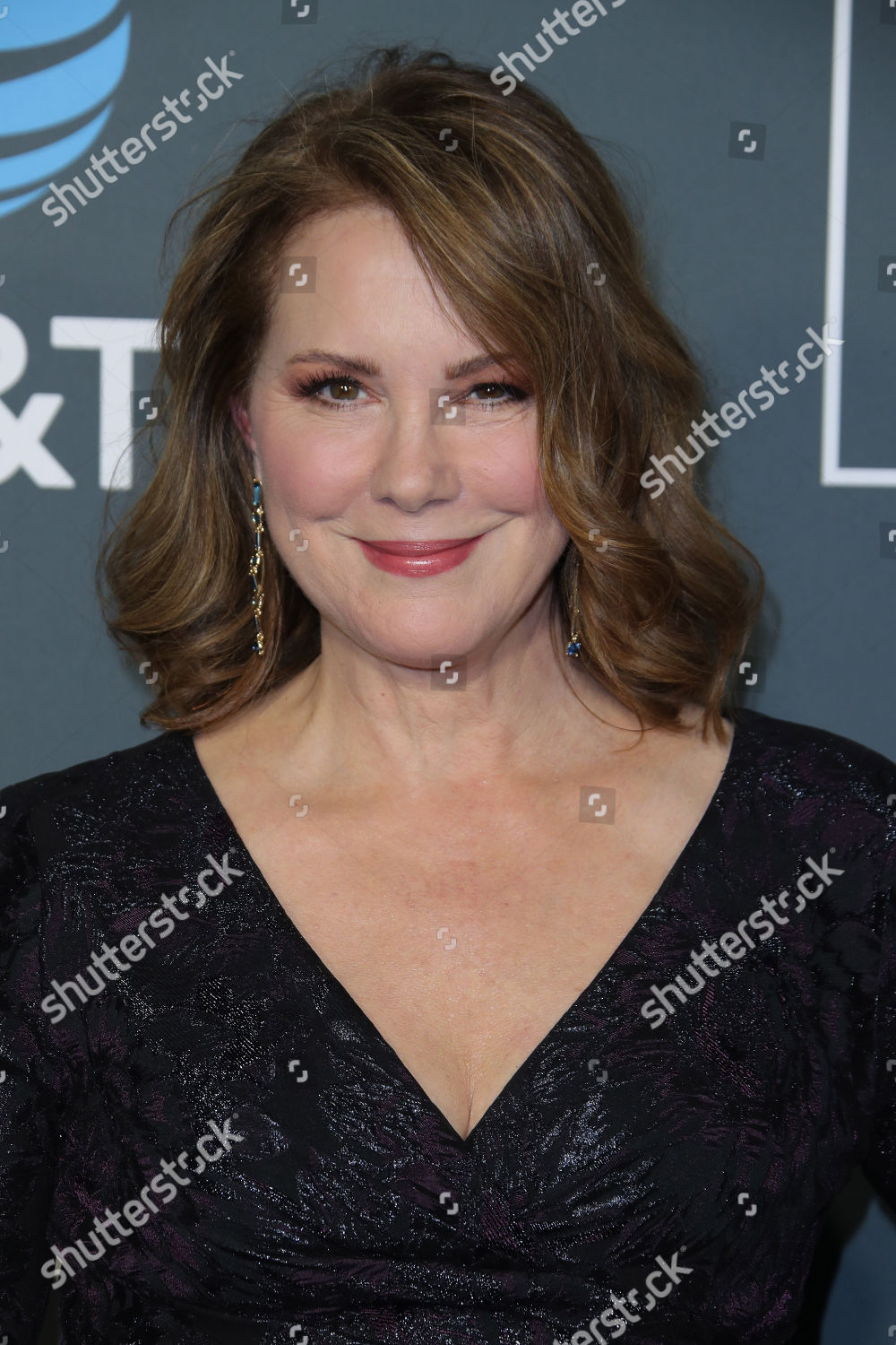 Elizabeth Perkins Editorial Stock Photo - Stock Image | Shutterstock