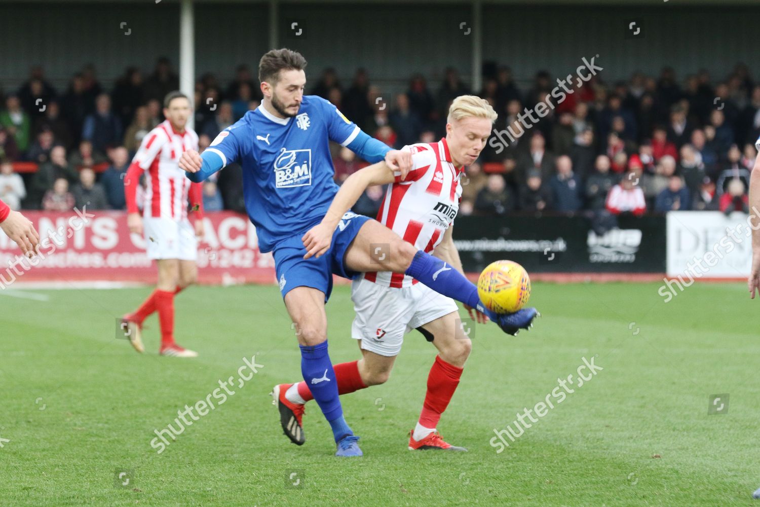 Oliver Banks Ryan Broom During Efl Sky Editorial Stock Photo