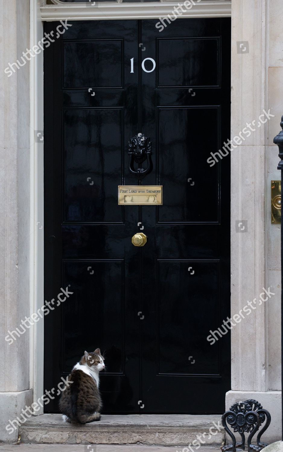 Larry Downing Street Cat Door Number 10 Redaktionelles