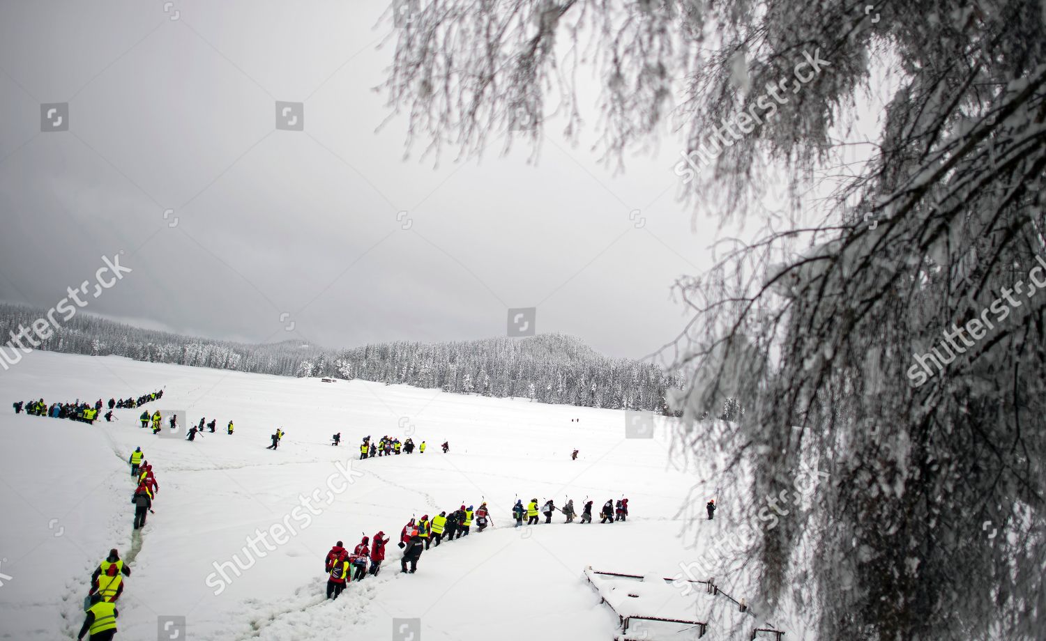 shutterstock competitors