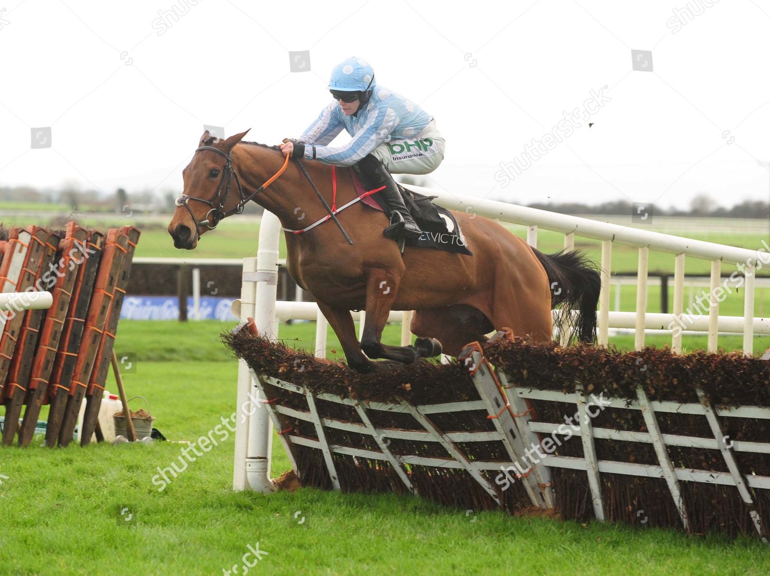 Fairyhouse Honeysuckle Rachael Blackmore Jump Last Editorial Stock
