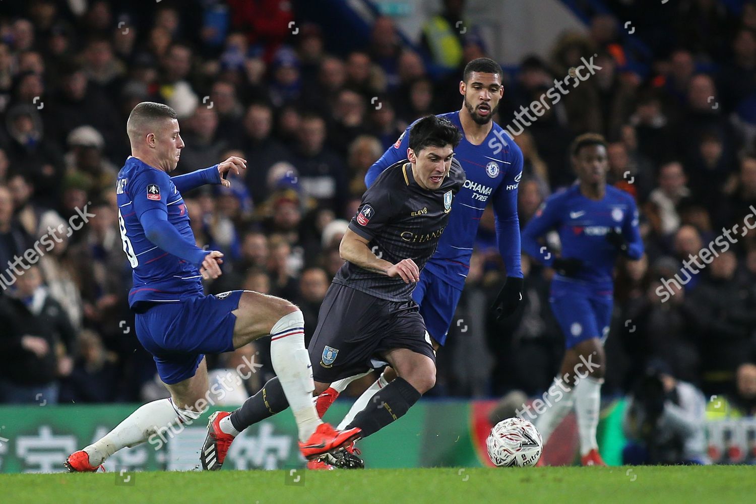 Fernando Forestieri Sheffield Wednesday Takes Ball Editorial Stock ...