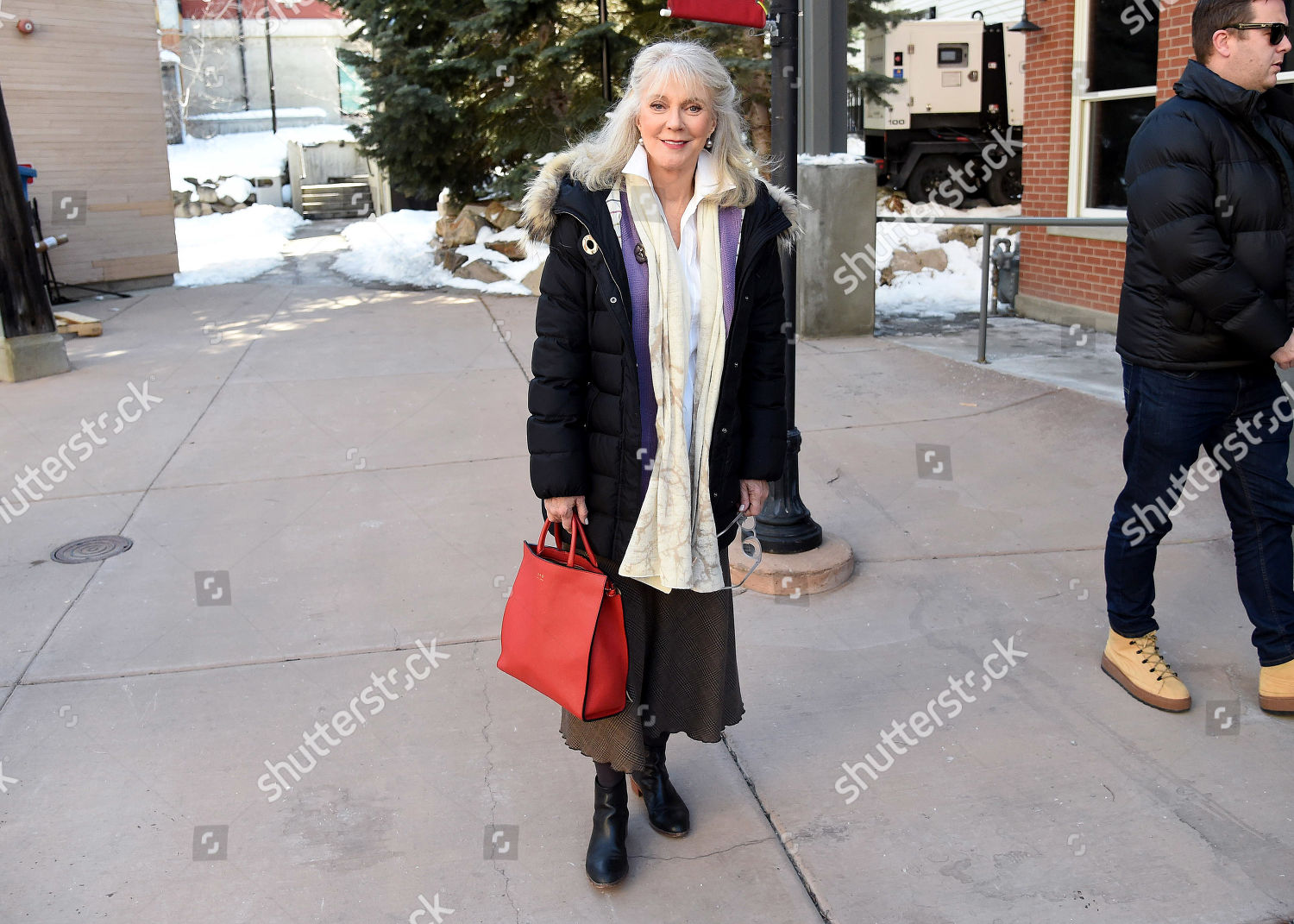 Blythe Danner Editorial Stock Photo - Stock Image | Shutterstock