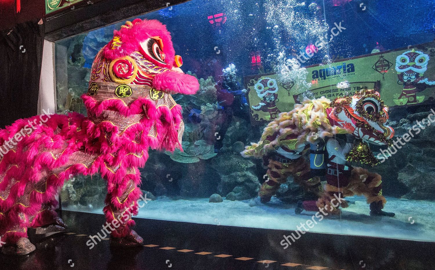 Lion Dance Performed Inside Outside Aquaria Klcc Editorial Stock Photo Stock Image Shutterstock