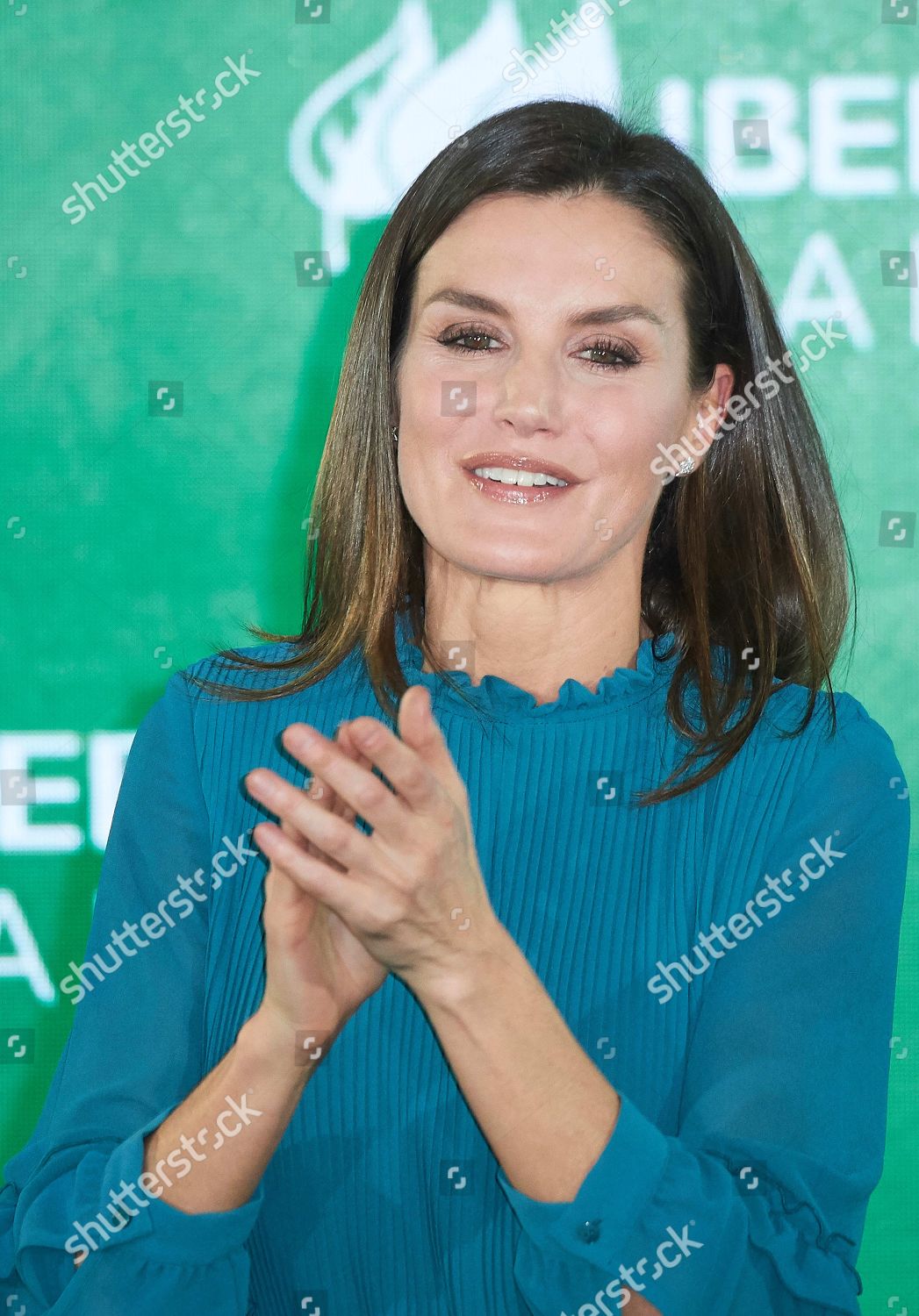delivery-of-the-grants-for-masters-and-research-aid-of-the-fundacion-iberdrola-madrid-spain-shutterstock-editorial-10079598u.jpg