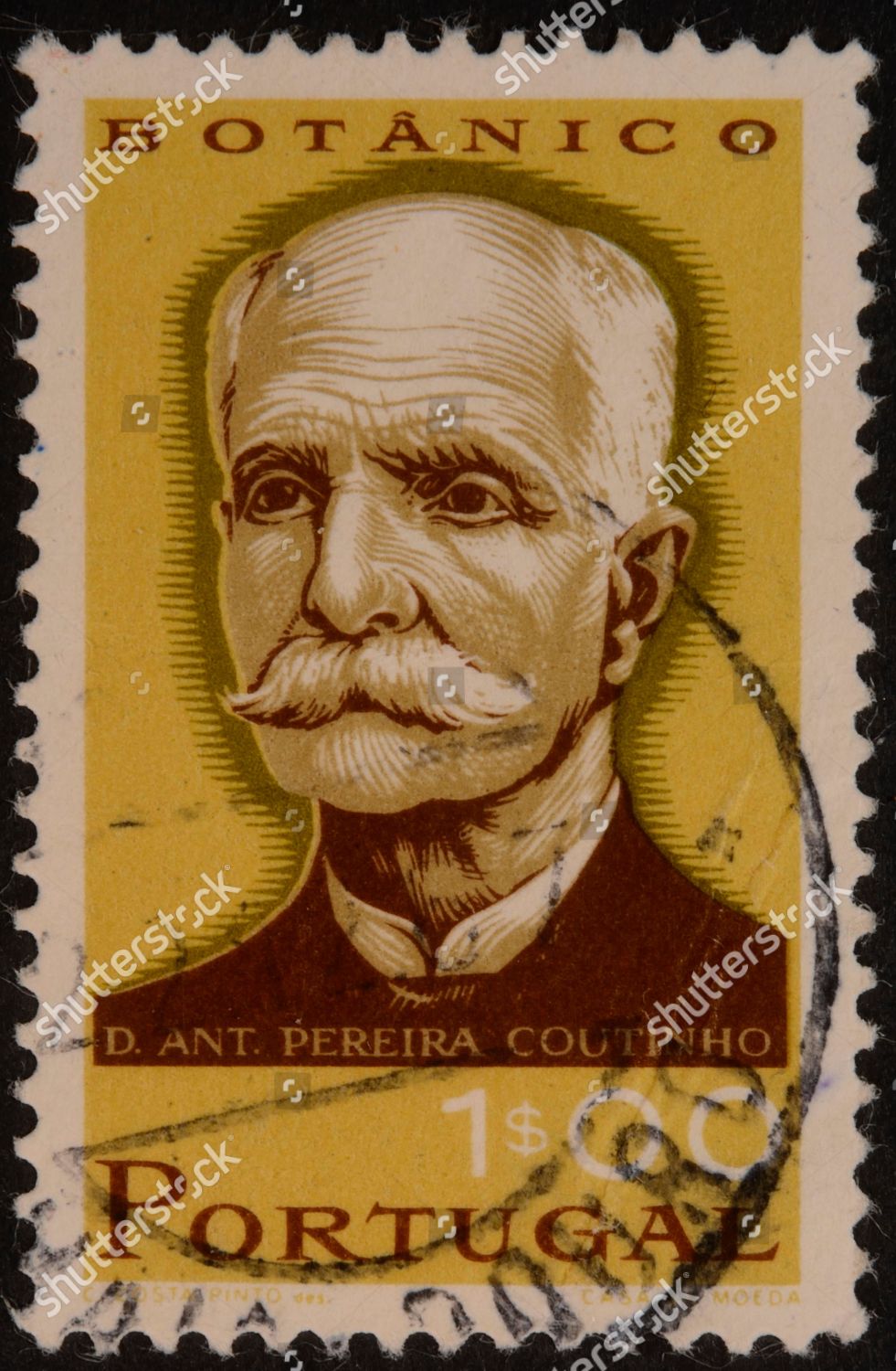 Antonio Xavier Pereira Coutinho Portuguese Botanist Editorial Stock