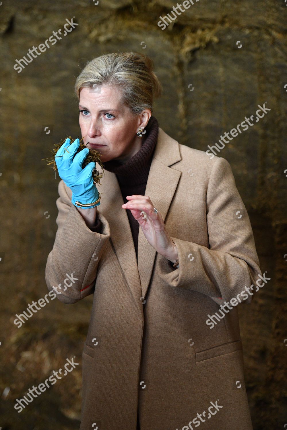 sophie-countess-of-wessex-visit-to-cumbria-shutterstock-editorial-10095439cp.jpg