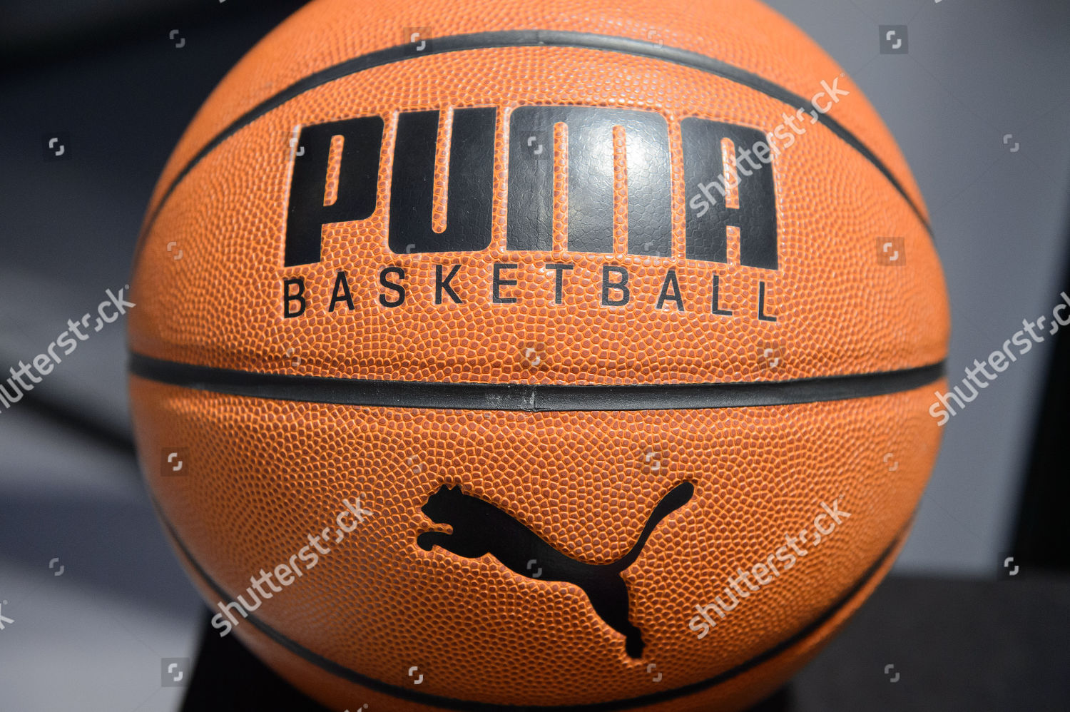 Puma basketball ball companys logo 