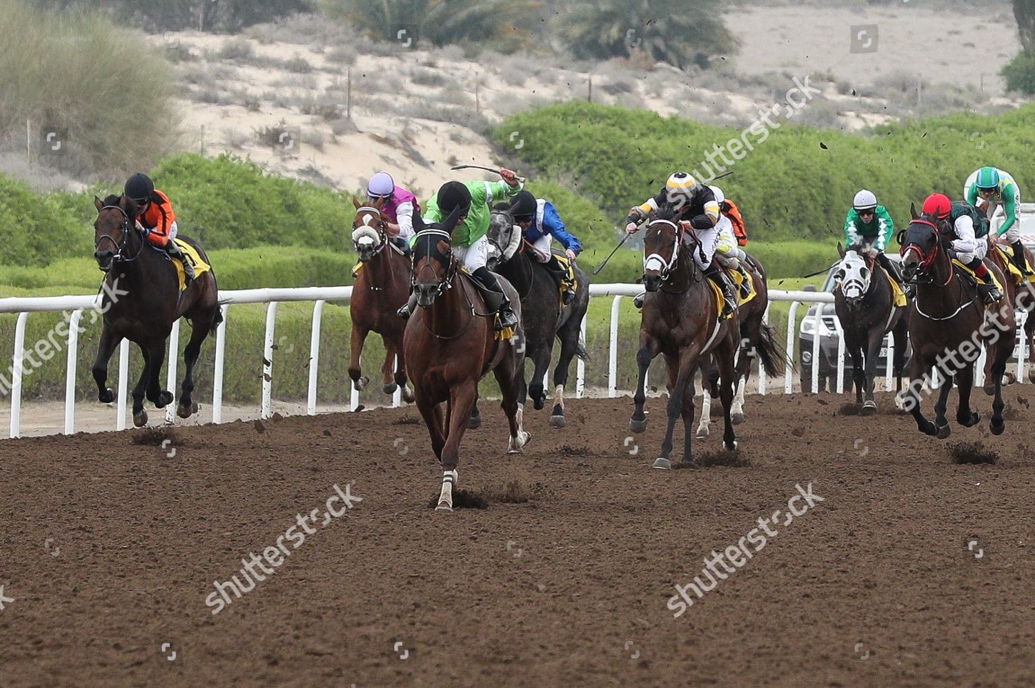 GAVROCHE USA ridden by Elione Henrique Chaves Editorial Stock Photo