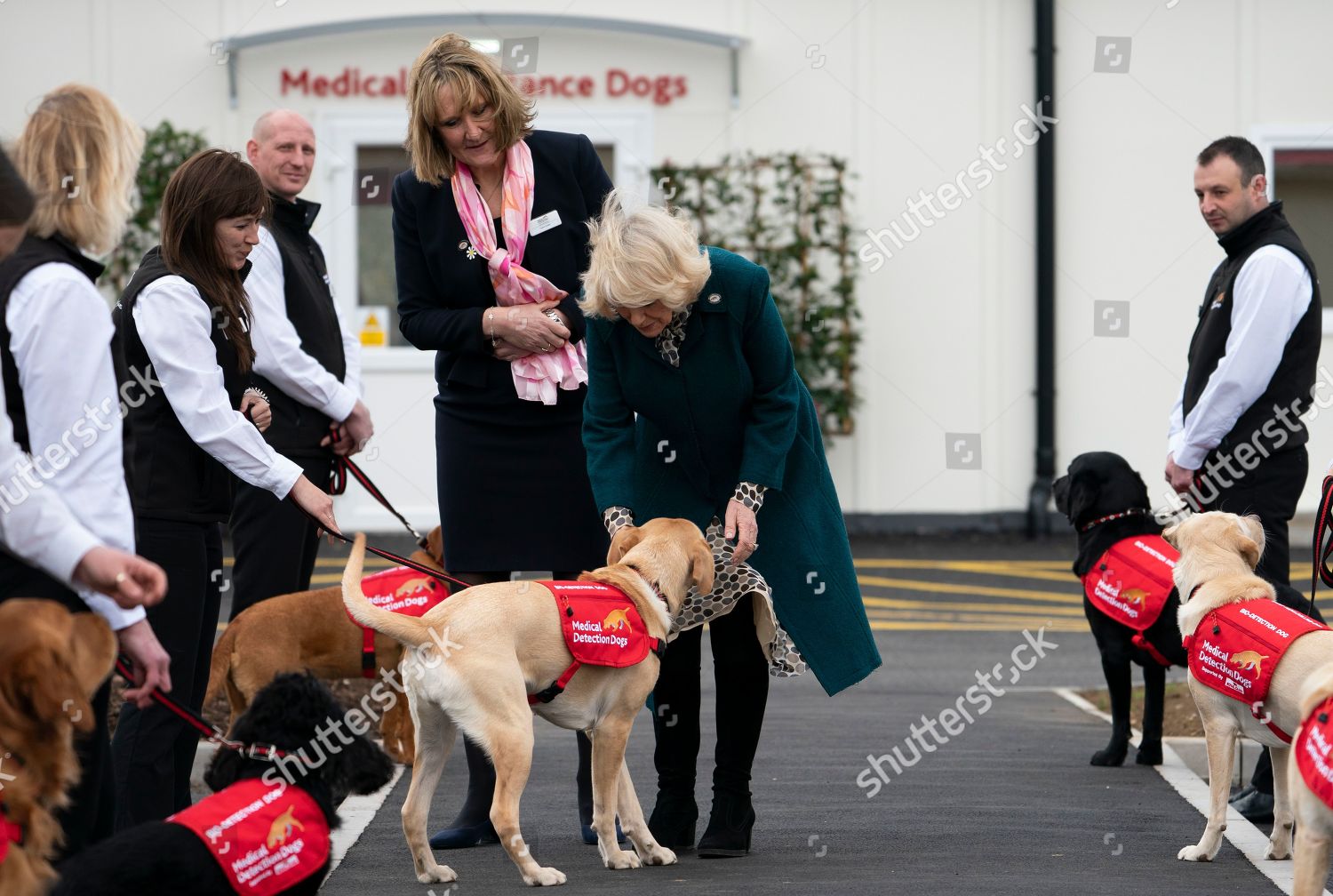 duchess-of-cornwall-opens-medical-detection-dogs-facility-london-united-kingdom-shutterstock-editorial-10112585d.jpg