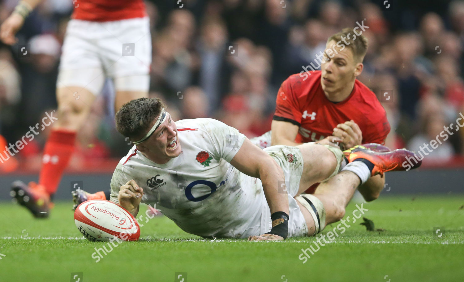 Tom Curry England Scores First Try Editorial Stock Photo Stock Image Shutterstock