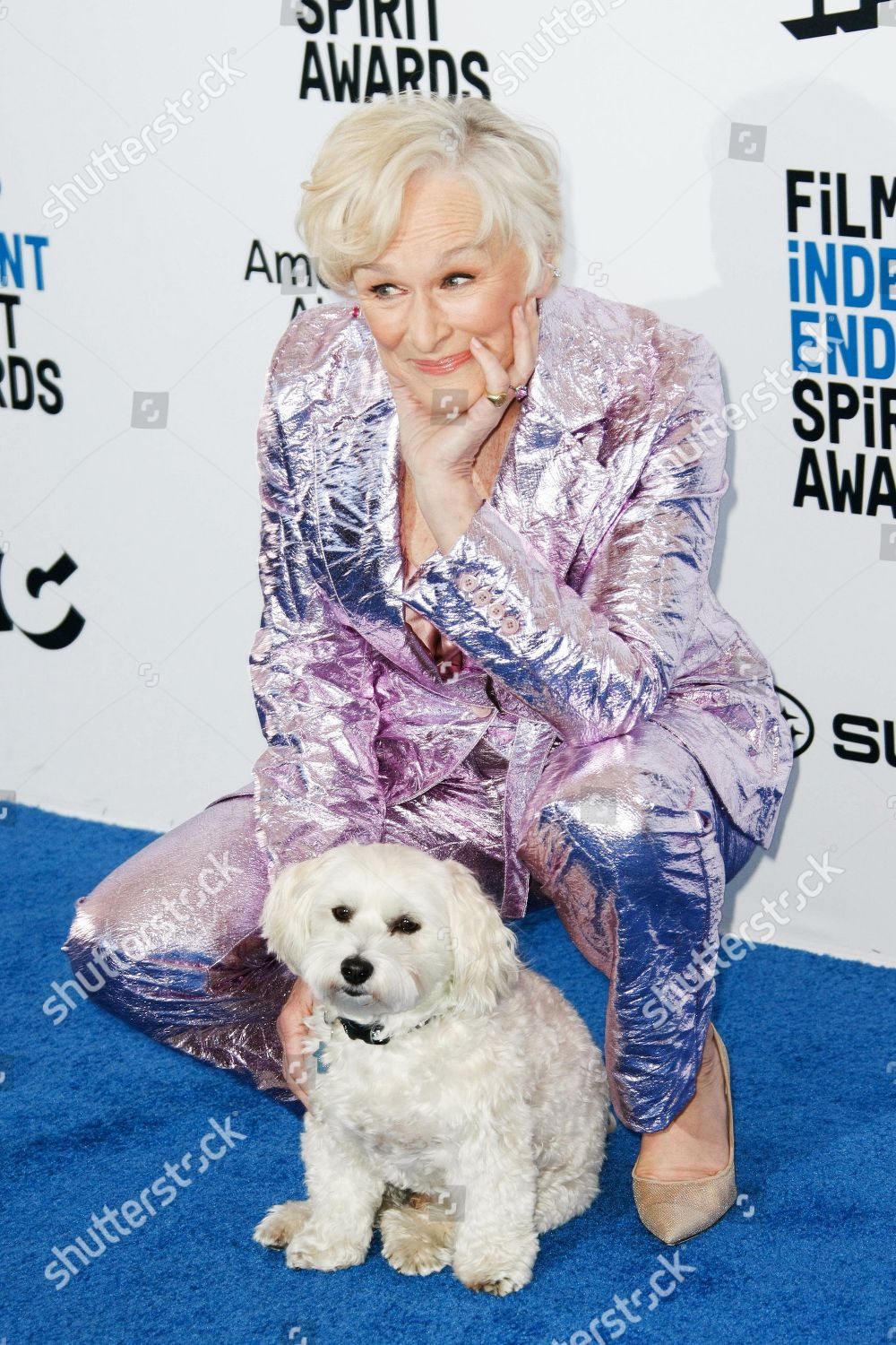 Glenn Close Her Dog Pip Editorial Stock Photo - Stock Image | Shutterstock