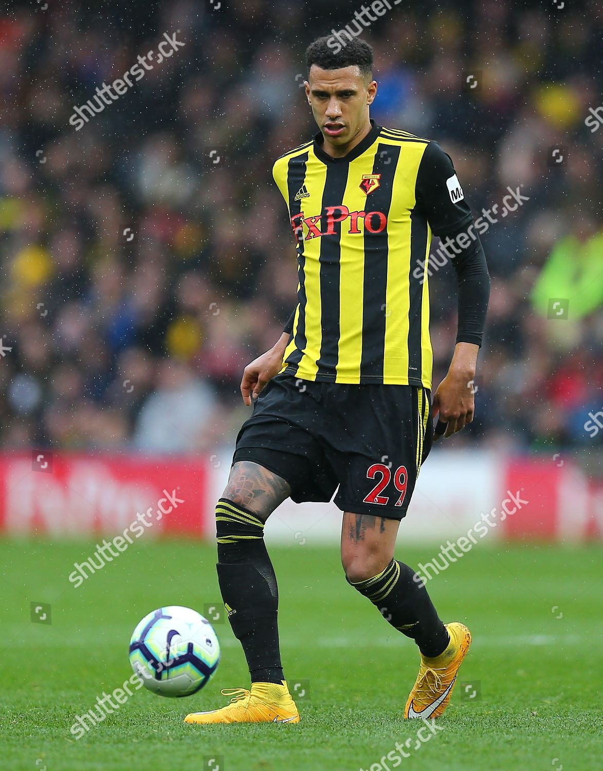 Etienne Capoue Watford Editorial Stock Photo - Stock Image | Shutterstock