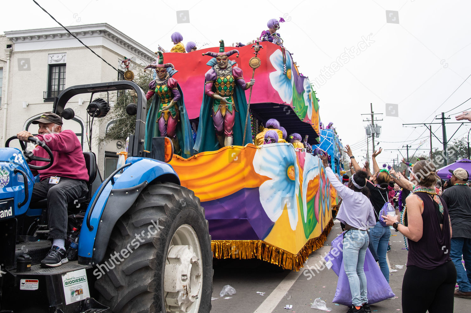 Krewe Iris Editorial Stock Photo Stock Image Shutterstock